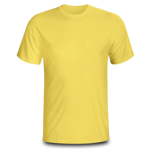 Áo thun đồng phục cổ tròn VN21